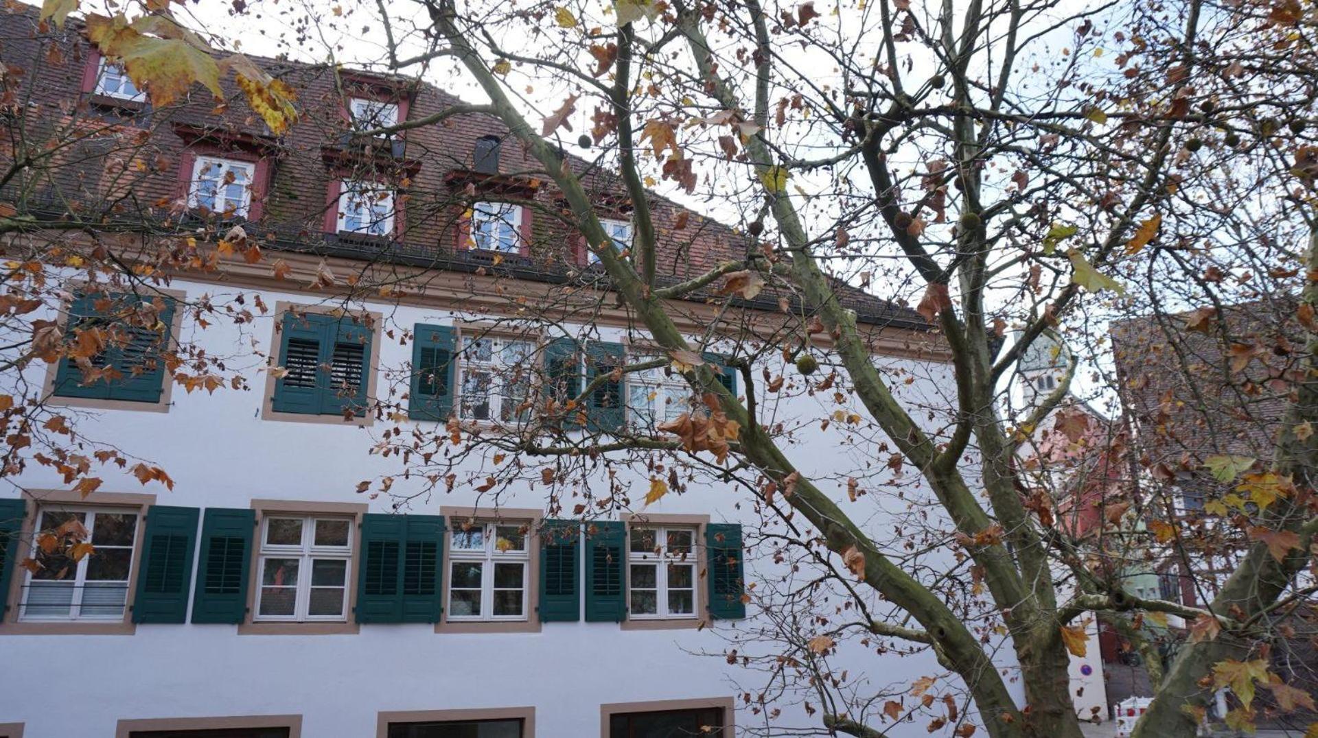 Ferienwohnung Am Klosterhof 梅尔斯堡 外观 照片